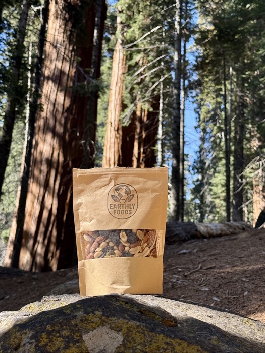 A bag of Earthly Foods trail mix on a boulder among towering sequoia trees.