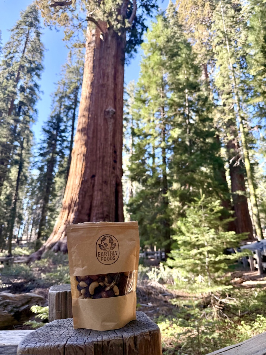 A bag of Earthly Foods trail mix on a wood post beneath a giant sequoia tree.