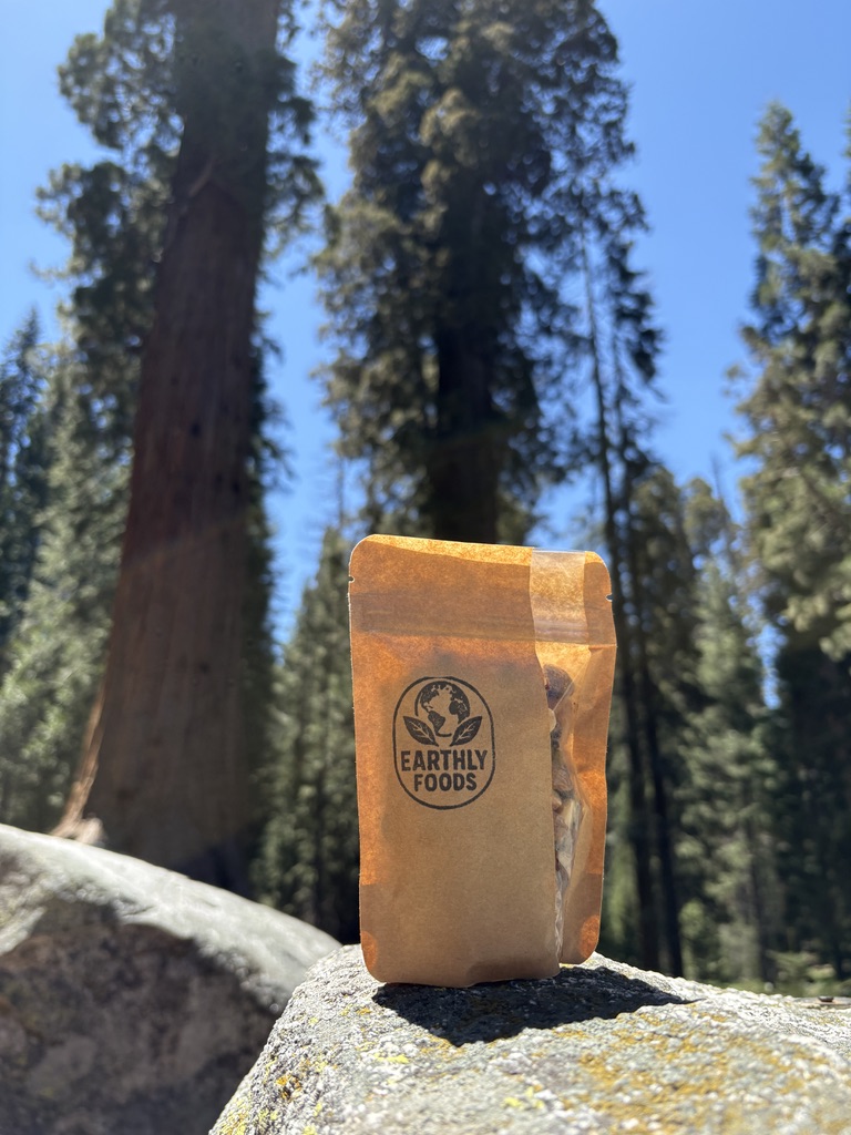 A bag of Earthly Foods trail mix on a rock surrounded by tall pine trees.